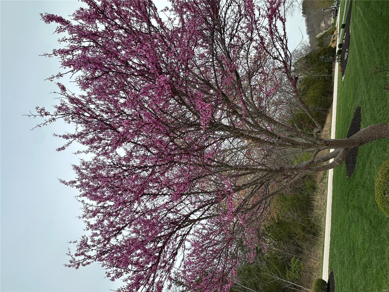 Wildwood, Missouri 63025, United States, 5 Bedrooms Bedrooms, ,5 BathroomsBathrooms,Residential,Pending,105617