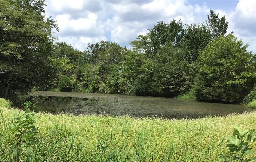 40 acres of level and open land with a small pond and only 5 miles from the City Limits of Springfield, Missouri. This would make an exceptional horse or hobby farm. There are excellent building sites on this property.
