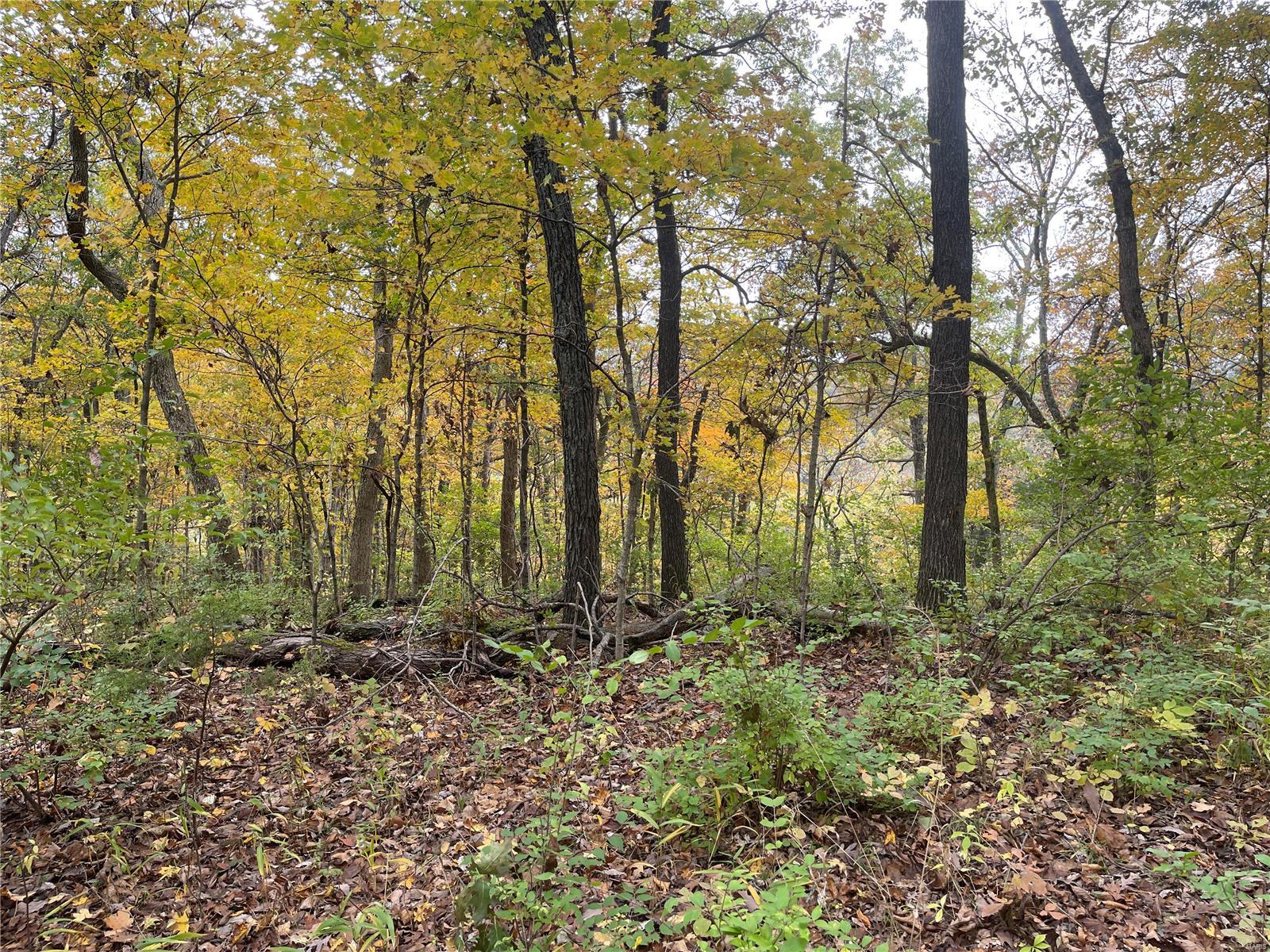 The Bluffs at Hoene Springs - Land
