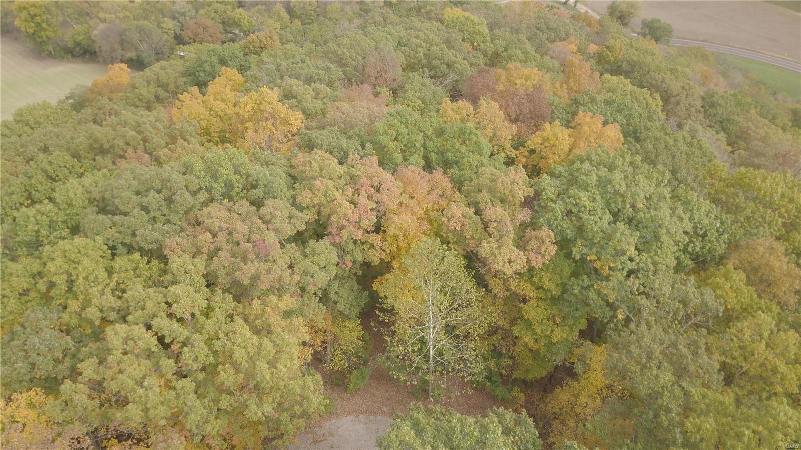 The Bluffs at Hoene Springs - Land