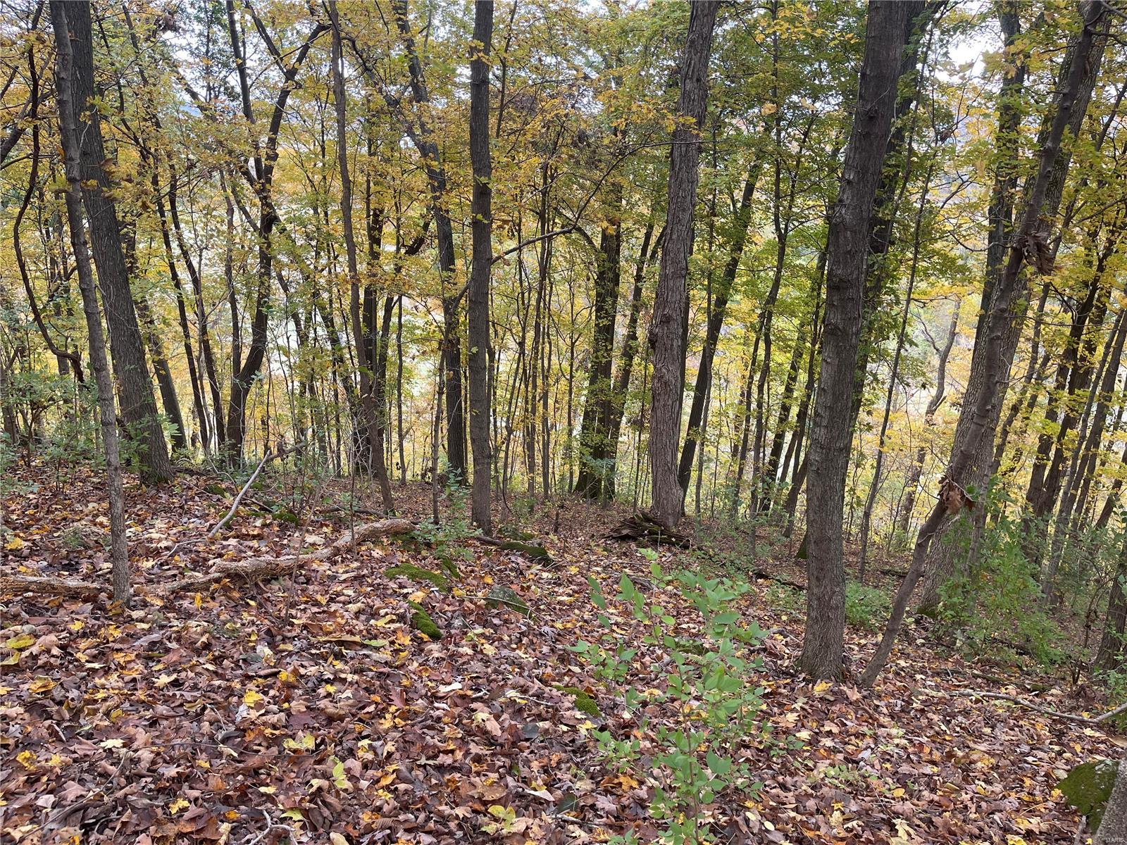 The Bluffs at Hoene Springs - Land