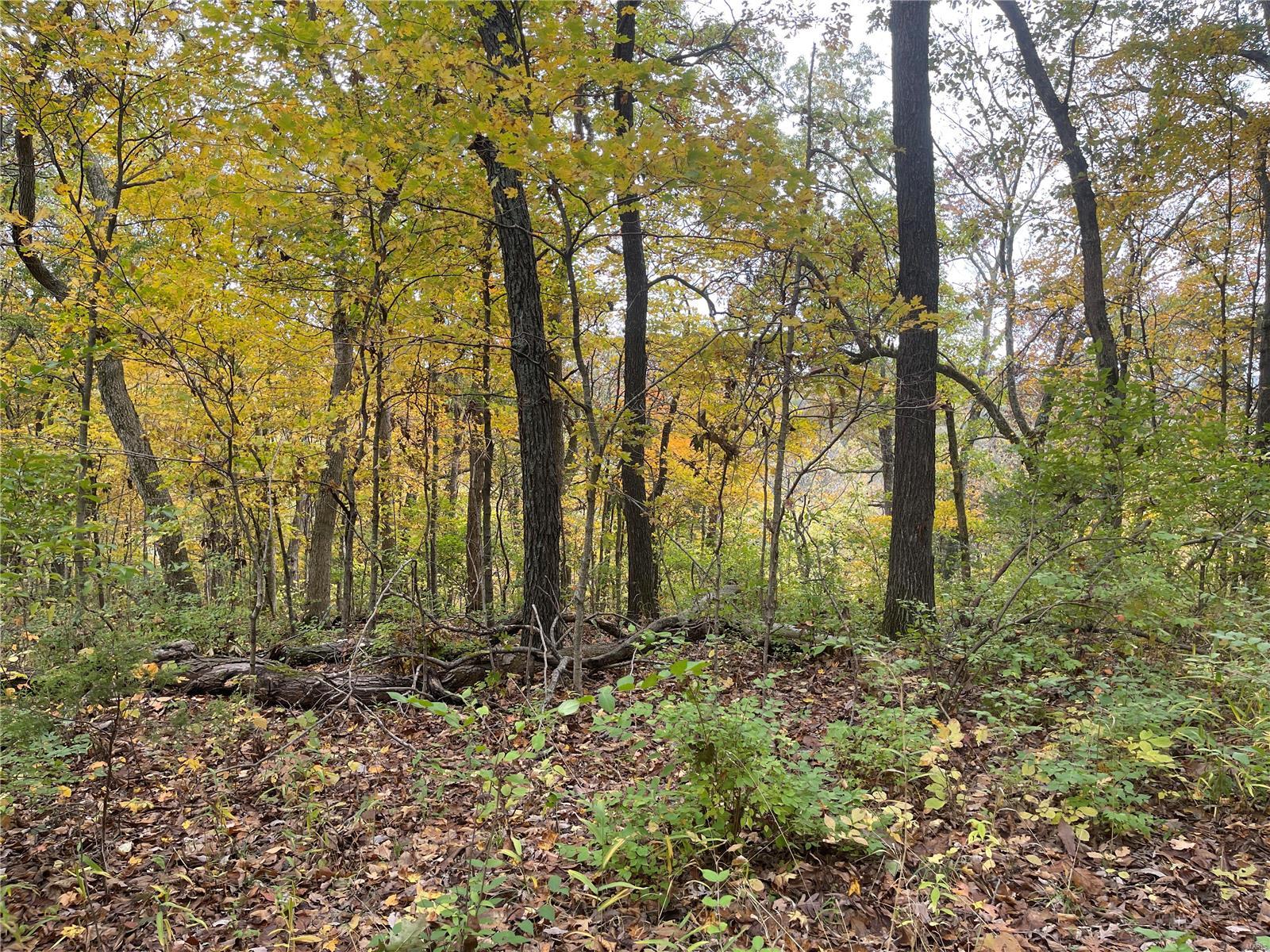 The Bluffs at Hoene Springs - Land