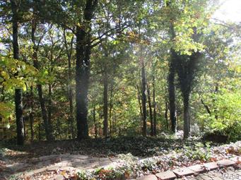 Burrells Rock Creek Estates - Residential