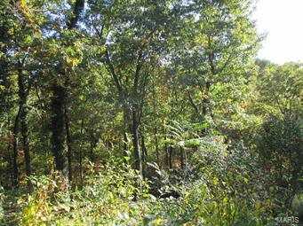 Burrells Rock Creek Estates - Residential