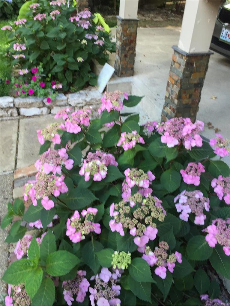 Tower Grove East - Residential