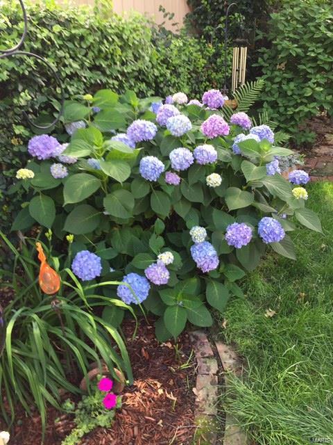 Tower Grove East - Residential