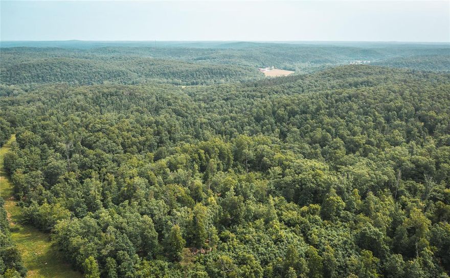 78.8 m/l acres of some of the Ozark's best views. Located in Texas County, Missouri this acreage offers Ashley Creek frontage and is just off of the gravel road. Close proximity to the Montauk State Park for excellent trout fishing. Deer and Turkey are frequent sights as Texas county is among the leading counties for whitetail. This area joins several larger land owners in some of the best managed whitetail hunting that Texas County has to offer. Numerous amounts of quality sheds were found while surveying the property & developing the road system. Private access roads have been rocked off of county road. Private access roads have been rocked off of county road. Property is located off of Ashley Creek Road. No Ashley Creek Frontage. Maps are for marketing only. All tracts are surveyed and will be recorded prior to closing. Owner is a licensed agent.