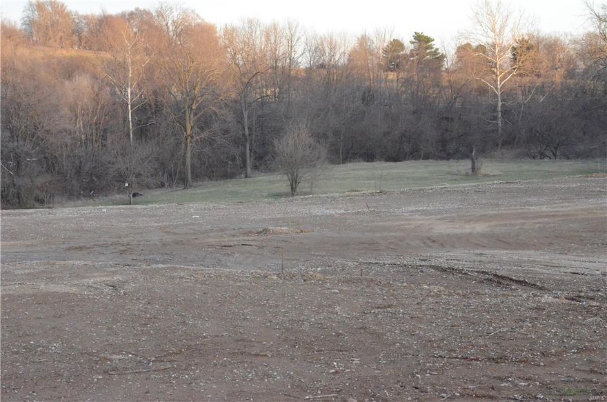 Developers cannot keep up with the housing demands in this area at present!
7 building lots available in a new subdivision named Hinds Fairground Addition. This addition offers builders a quiet setting while being located in town close to everything! Here is your chance to build your dream home!  This listing is for Lot 10. This lot allows for a walkout basement. Land has been platted and surveyed and a street will be built. Electric and water will be available.. Building restrictions do apply. Come by and take a look! Additional Rooms: In Platted Subdv.