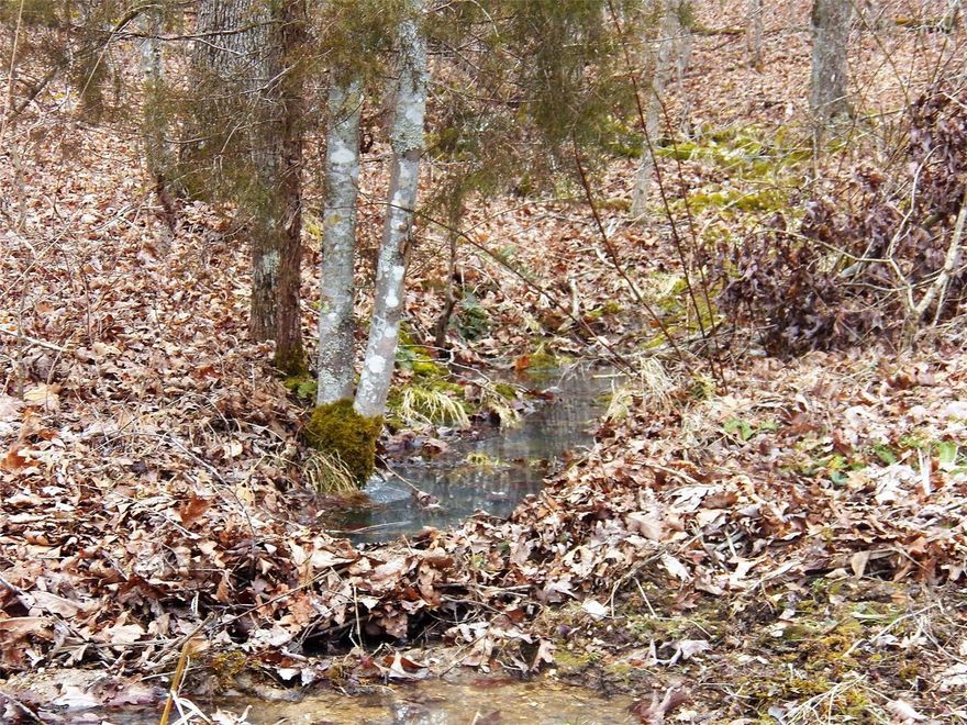 46.1 acres ready for your Homeplace or Recreaction. Has 3 wells, 1 septic and 4 electric hookups. Some standing  oak timber, no restrictions,wet weather branch. some fruit treess, highway frontage, abundant wildlife. Close to the Huzzah River and Mark Twain Forest.  If your looking for privacy this property may be for you. 2 parcels  Tax ID # 16-5.0-15-0-00-012.000 & # 16-5.0-15-0-00-010.030