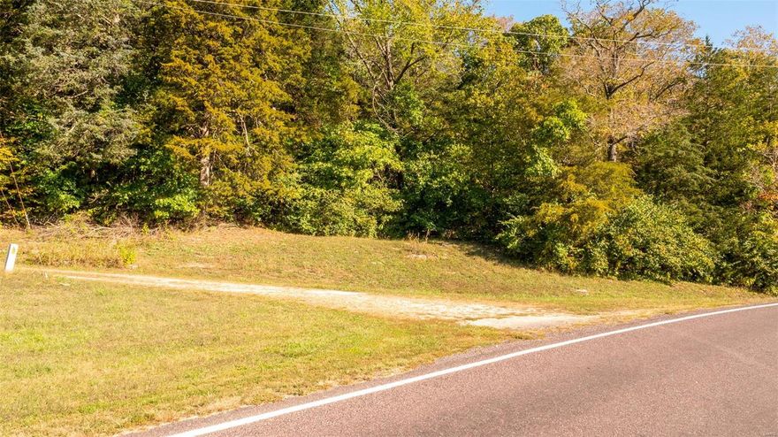 Great opportunity to purchase this 98-acre wooded parcel with frontage on a paved County Road. There is an old 1880's road base that extends up the entire parcel, with electric running alongside the beginning section of it. These are the kind of wooded tracts that you love to meander through, dip your feet in the wet weather creek, gaze up at the old growth timber, and imagine what it would look like to re-clear some of the cedar groves.  This land has been in the Byrne family for generations. A good land commodity purchase for future investment in the area, or a 1031 tax deferred purchase. Just in time to scope out where to put up the deer stand. No restrictions.