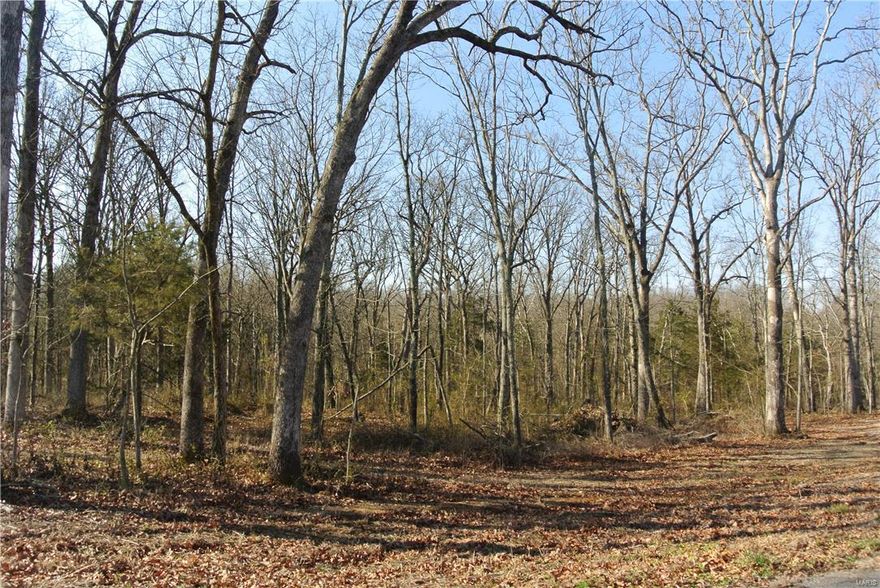 Single family building lots in small private subdivision in City of New Melle.  1+ acre lots, public water and sewer near, electric at lot front.  Minimum 1800 sq  ft ranch, 2500 2story. Fencing must be wrought iron, call for indentures. Additional Rooms: In Platted Subdv.