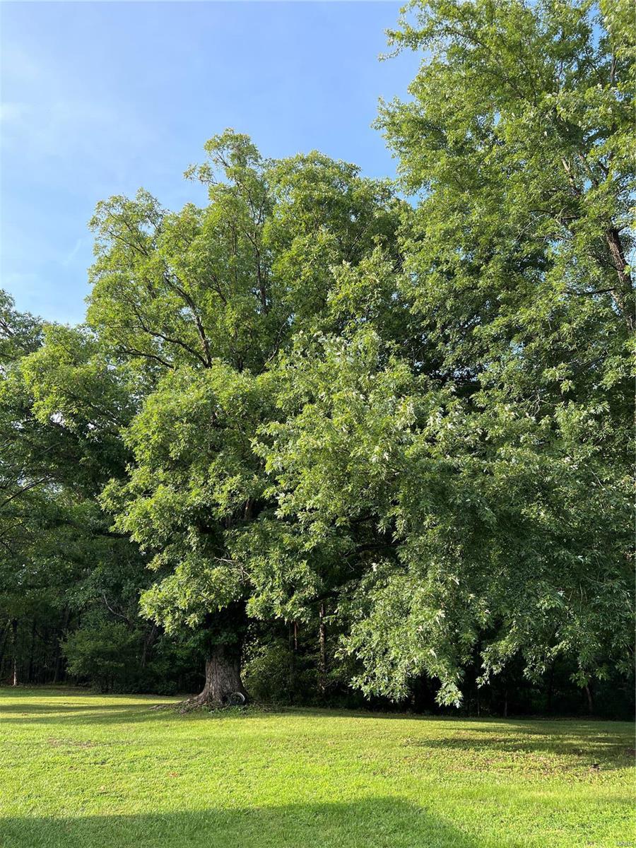 Bohannon Sub - Residential