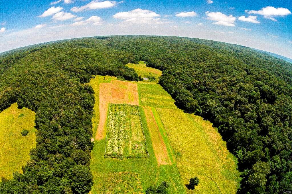 Fox Creek Farm - Lt Consolidation - Farm