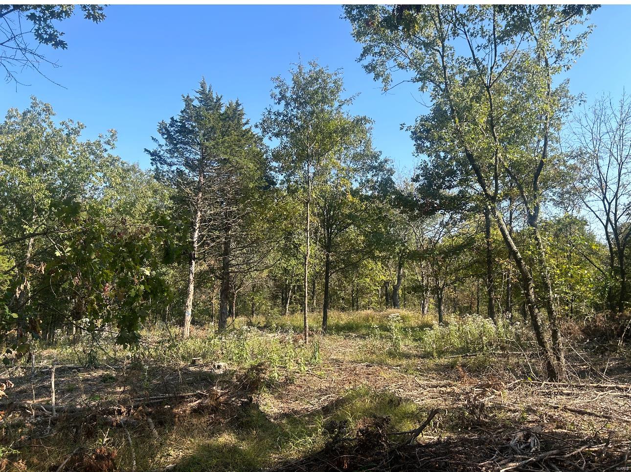 0 Lot #31 Fawn Hollow Court