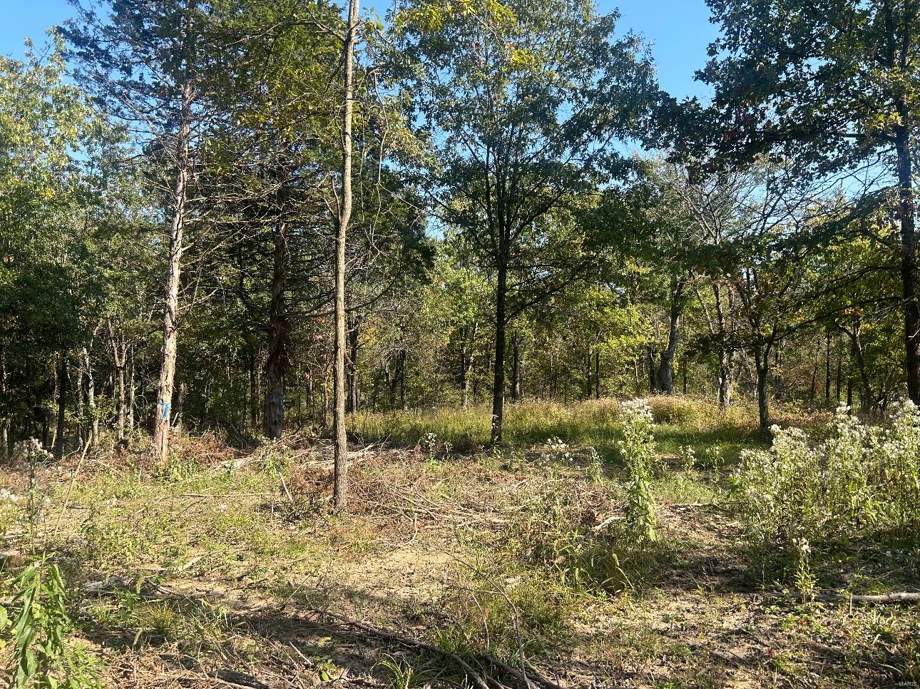 0 Lot #31 Fawn Hollow Court