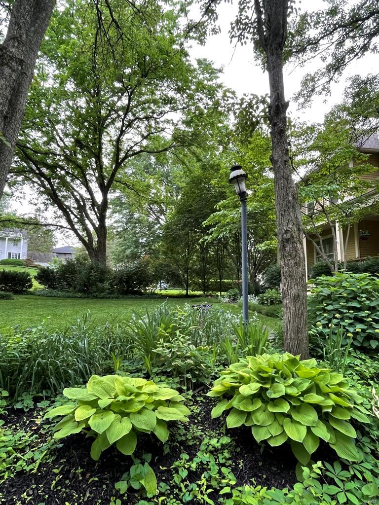 New Helfenstein Park - Residential