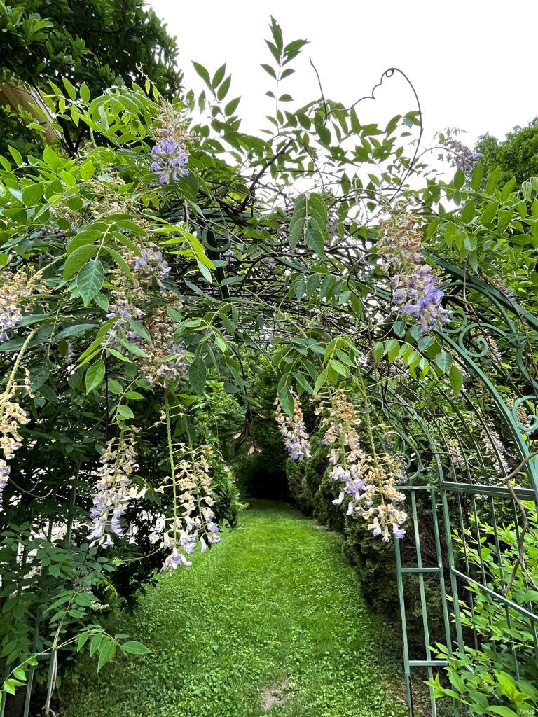 New Helfenstein Park - Residential