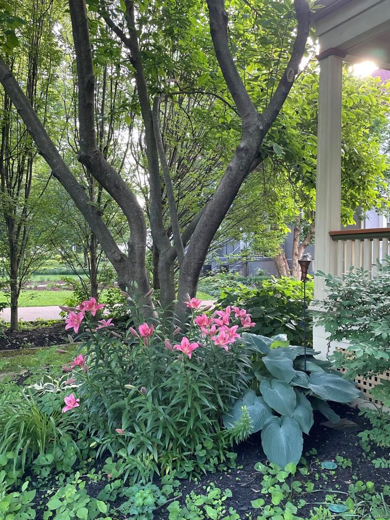 New Helfenstein Park - Residential