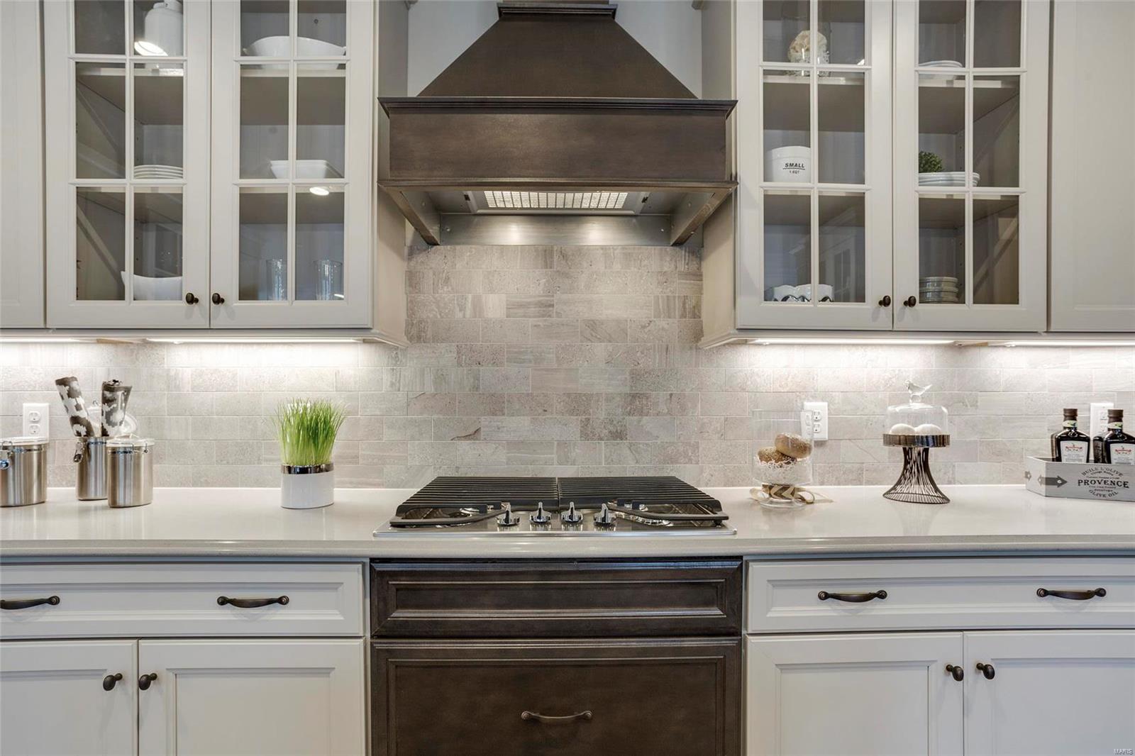 CHANDLER RIDGE - Residential