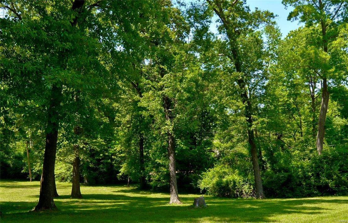 Barclay Woods - Land