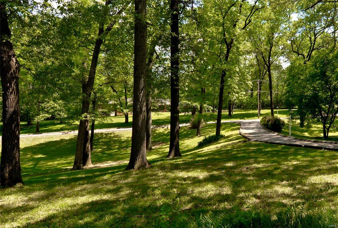 Barclay Woods - Land