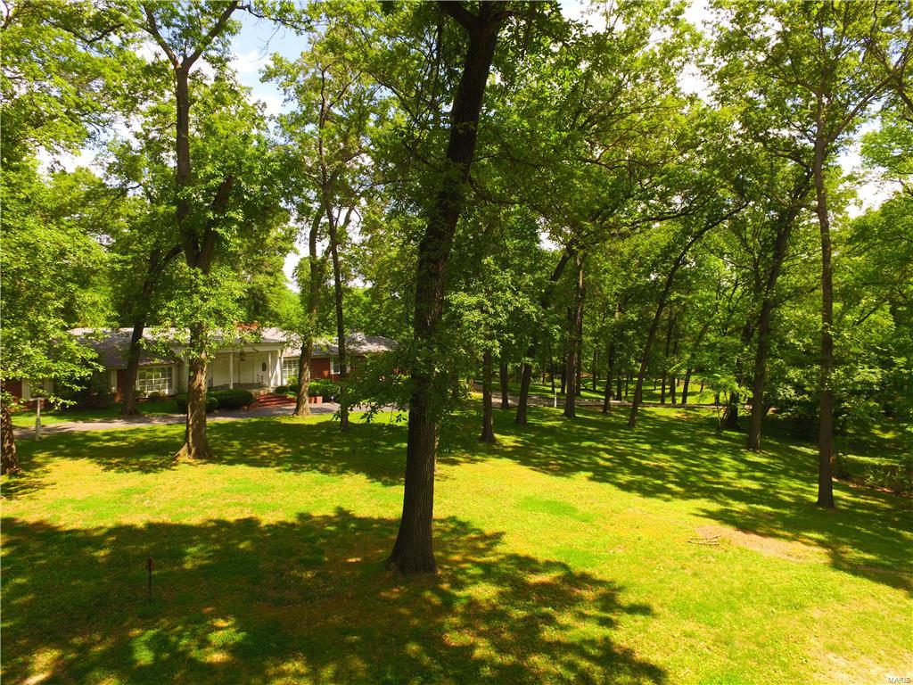 Barclay Woods - Land