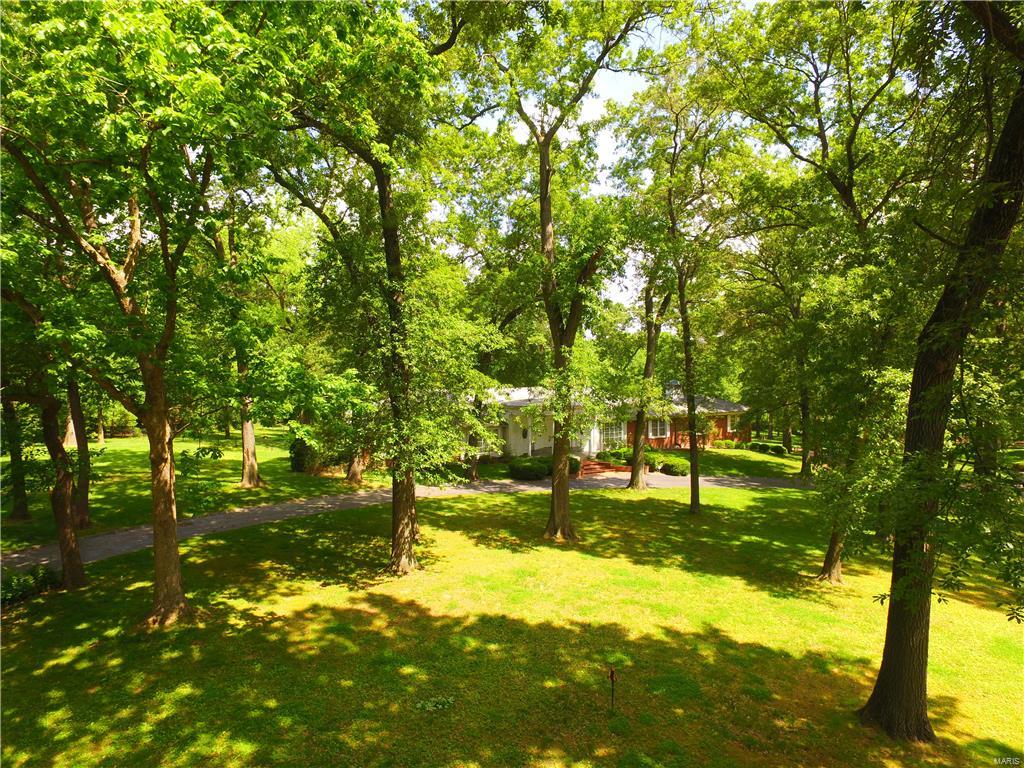 Barclay Woods - Land