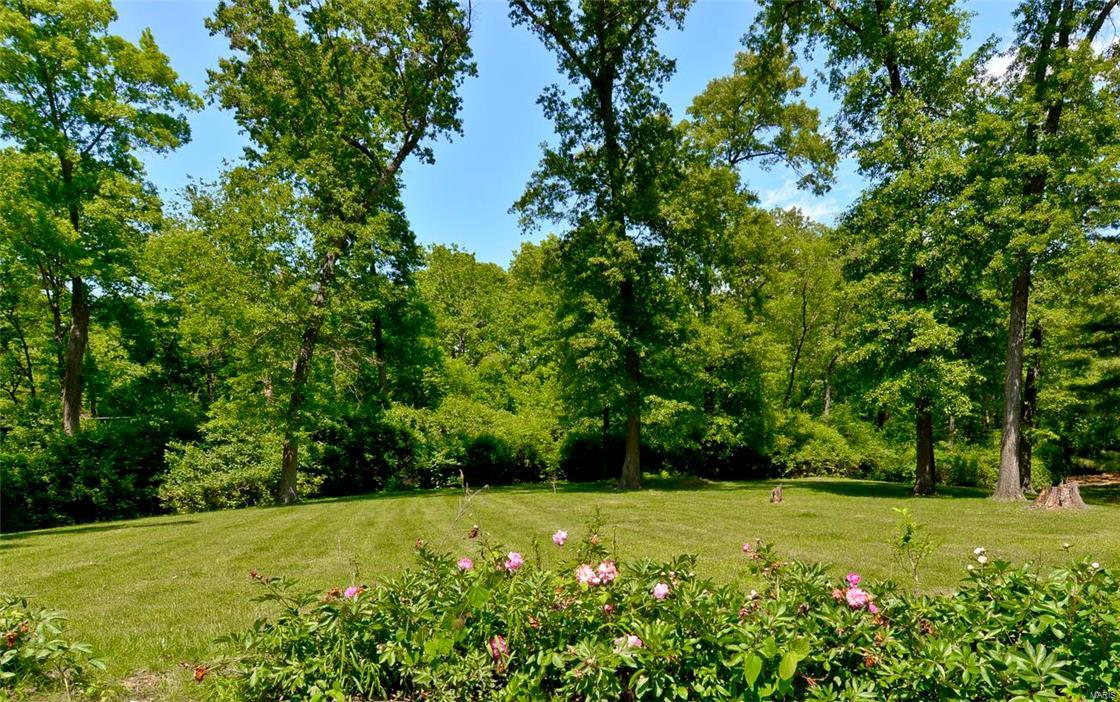 Barclay Woods - Land