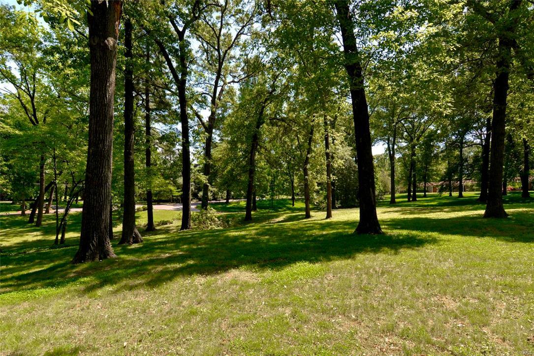 Barclay Woods - Land