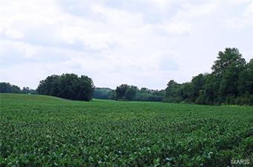 140 Acre Farm “Moscow Mills”, Southern Lincoln County, MO.  Located off State Highway C in Southern Lincoln County near Moscow Mills, MO lies this 140-acre Farm.  The property consists of 64 acres Mature Timber, 49 acres Pasture/Hay, and 27 acres Tillable in the Cuivre River Bottom.  Set on ridge in the center of the farm is a sprawling 2800 square foot ranch style home.  This 4 Bedroom/2Bath home with Master Bedroom Suite features Formal Dining a Great Room w/Vaulted Ceiling, Can Lighting &Wood Burning Stove and a Large Eat-In Kitchen that flows to the Sun Porch.  Additionally, on the property is a 96X40 shed with partial shop and a 64X40 open shed/pavilion with enclosed area and a small open front horse shed w/fenced pen. This combination property has it all with residence, pasture, crops to woods and Cuivre River access for hunting/fishing and recreation.  Only a short commute to the St. Louis Metropolitan Area!  $975,000