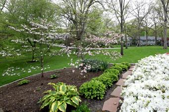 Oakleigh - Residential