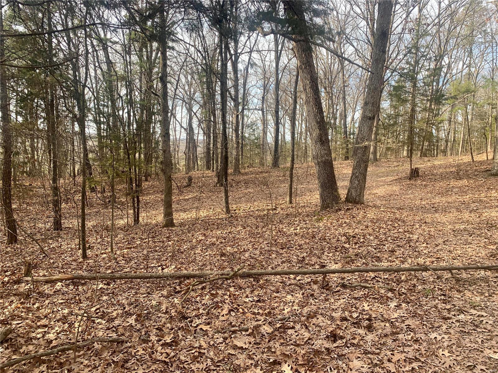 Aspen Trail Estates - Land