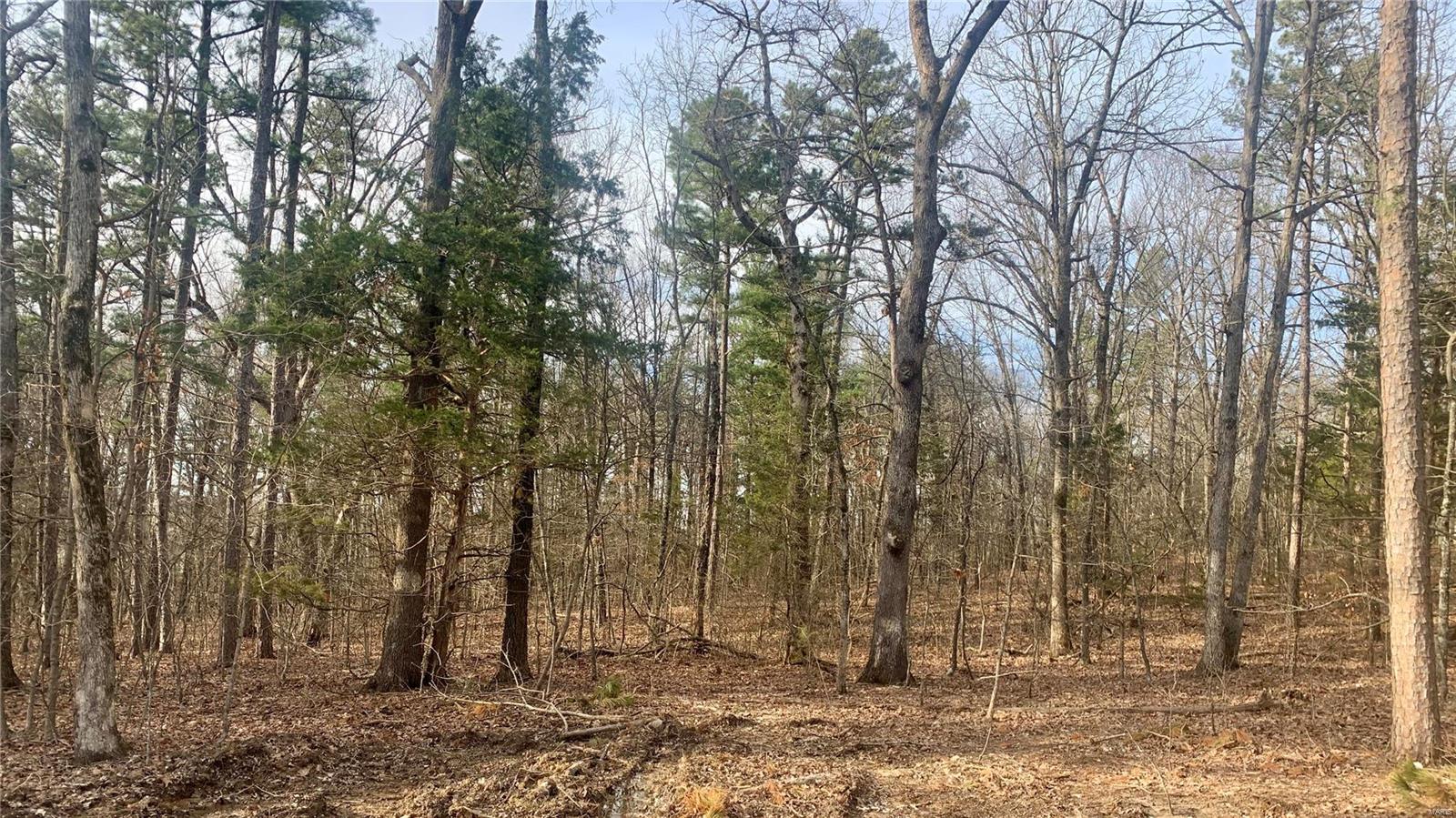 Aspen Trail Estates - Land