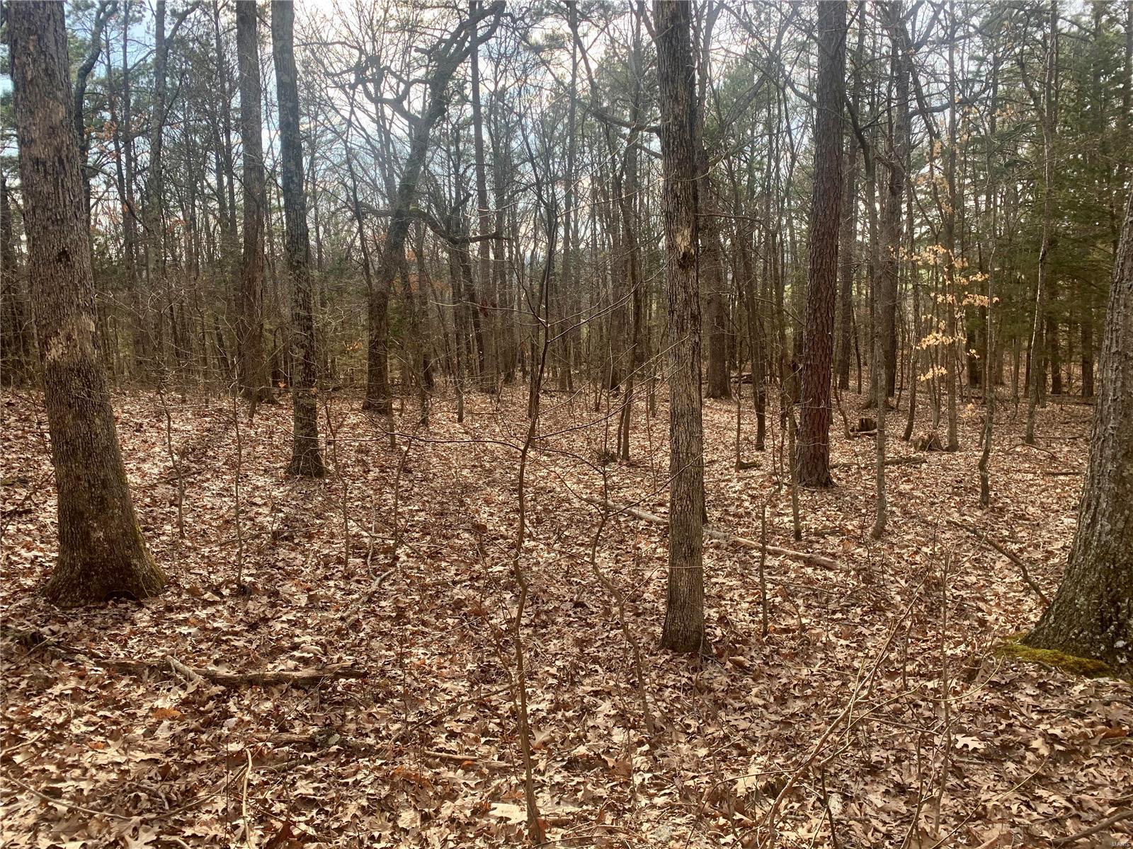 Aspen Trail Estates - Land