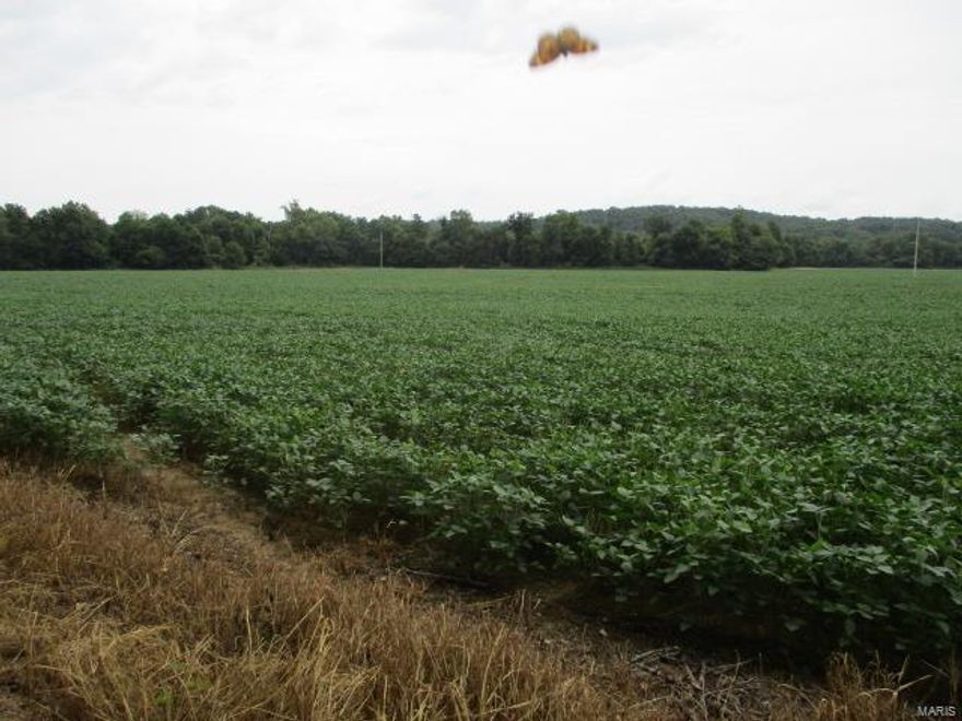 What a Unique opportunity with this Castor River Farm.   Over 1,500 Acres all together in one piece of land.  Hard to find this large of tract of land anymore.  Approx.  1 Mile  of Castor River Frontage with County Road & electric thru  the property .  Approx.  700 Acres M/L in Row Crop production at the present time.  Balance is a Hunters paradise of mixed large & small timber.  Property also has a 3 Bd. 1.5 Bath  Ranch style home  with several outbuildings .  The Row Crop income ia a large bonus for this recreational property.  Property joins Twin Bridges  Camp ground and is easily be connected to your very own Camping  & Rv  Campground.  If you or a group organization are looking for that 1 place that offers it all, this could be your opportunity.  call Agent for more details.