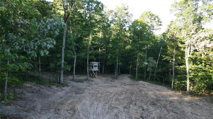 New Listing! Sitting just north of Marble Hill, MO on BCR 310 sits this newly surveyed 43.68 acres m/l. This tract is being divided off of a larger tract and has well established navigable trails running all throughout the property. A recently leveled off gravel lot on the county road would make a great parking location and/or place to set up a camper to enjoy a weekend. Wildlife numbers are very abundant down on this property as the sellers recently cleared a food plot in a strategic location with a muddy box blind on it! Electric is available on the tract and the property comes with lots of road frontage!