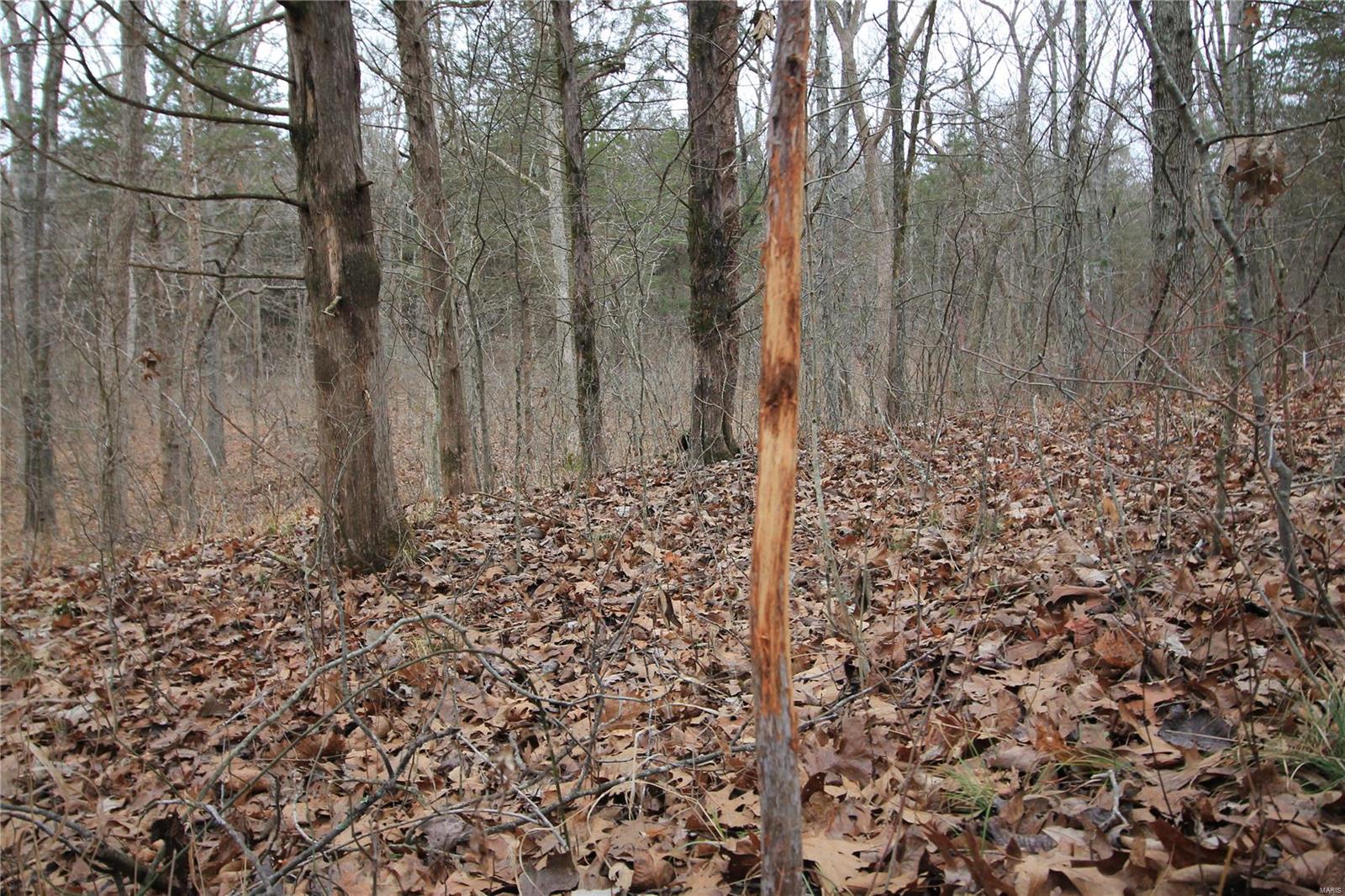 Lake Forest Farms - Farm