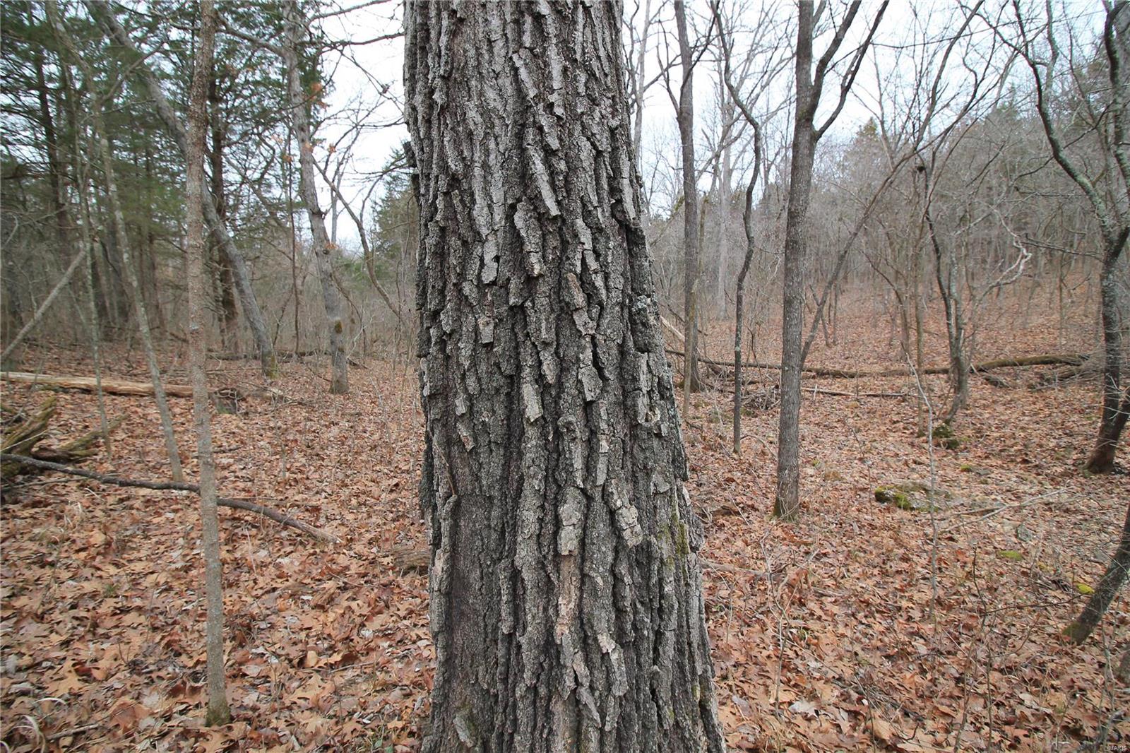 Lake Forest Farms - Farm