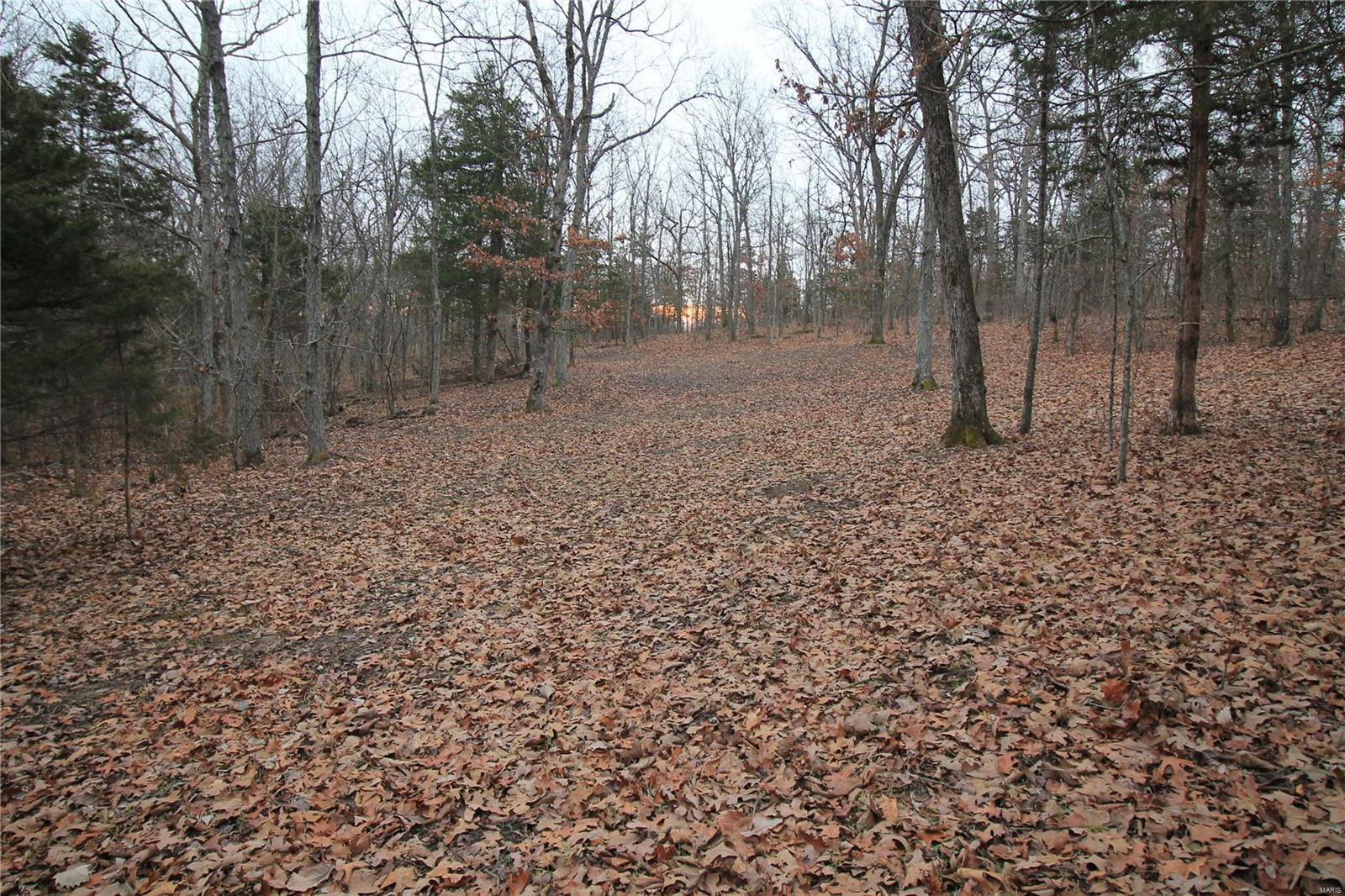 Lake Forest Farms - Farm