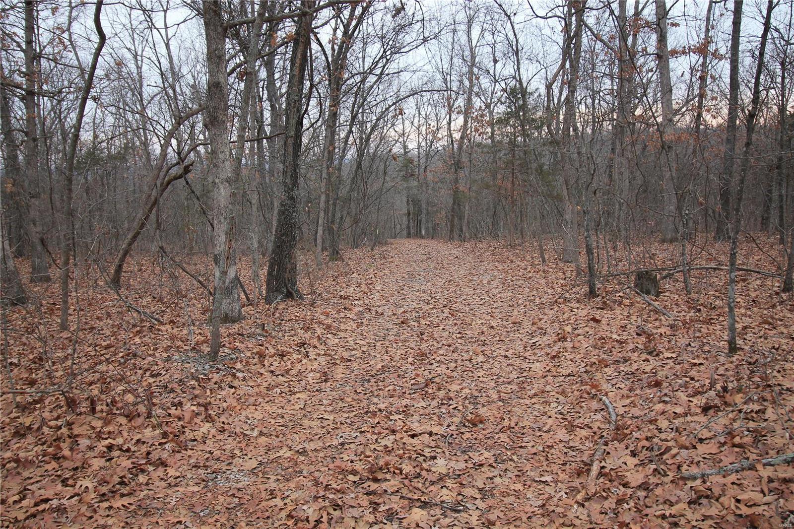 Lake Forest Farms - Farm