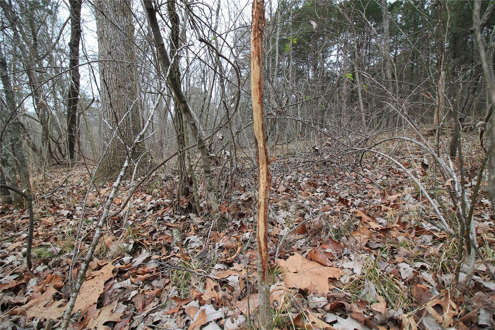 Lake Forest Farms - Farm