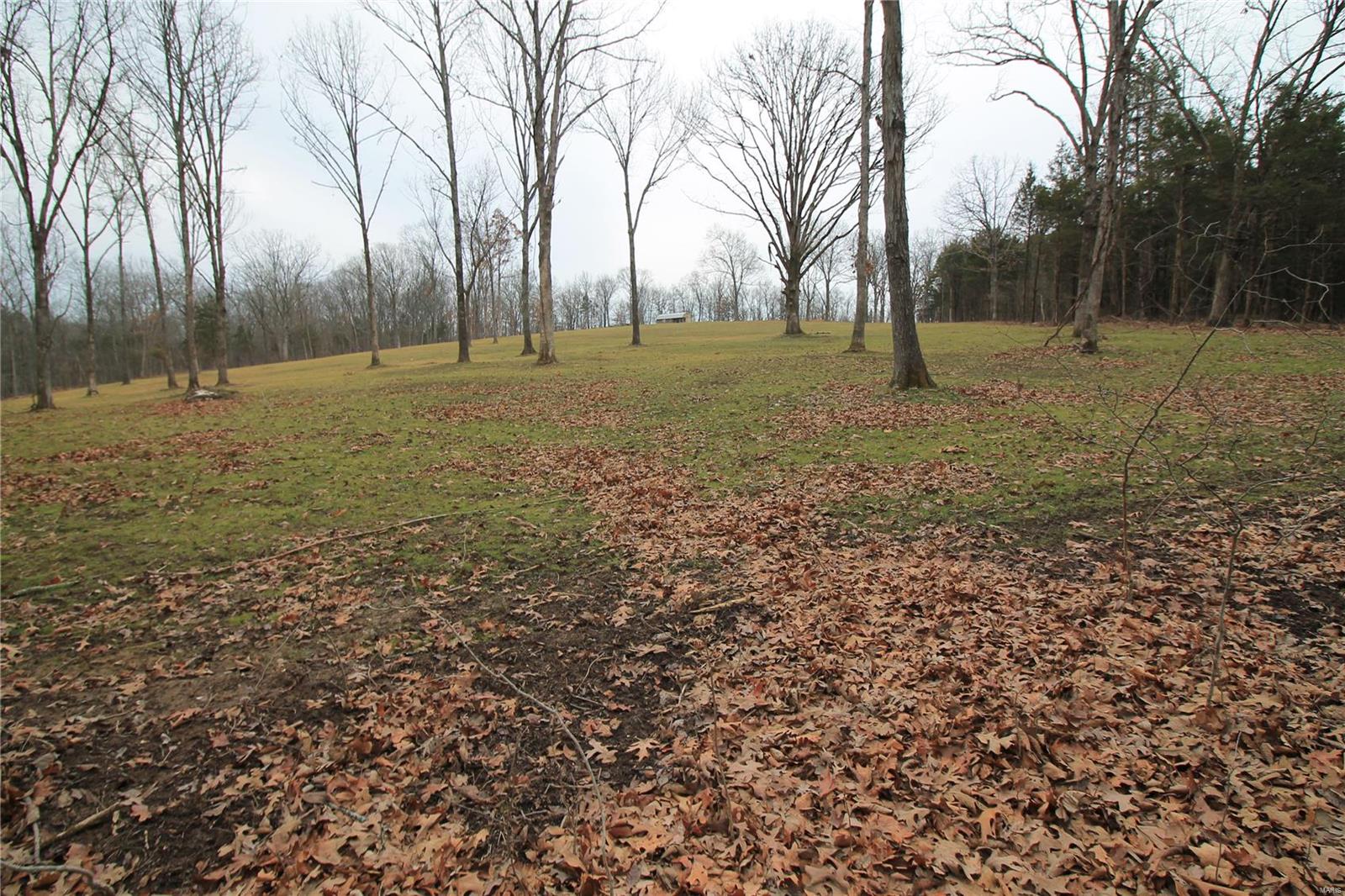 Lake Forest Farms - Farm