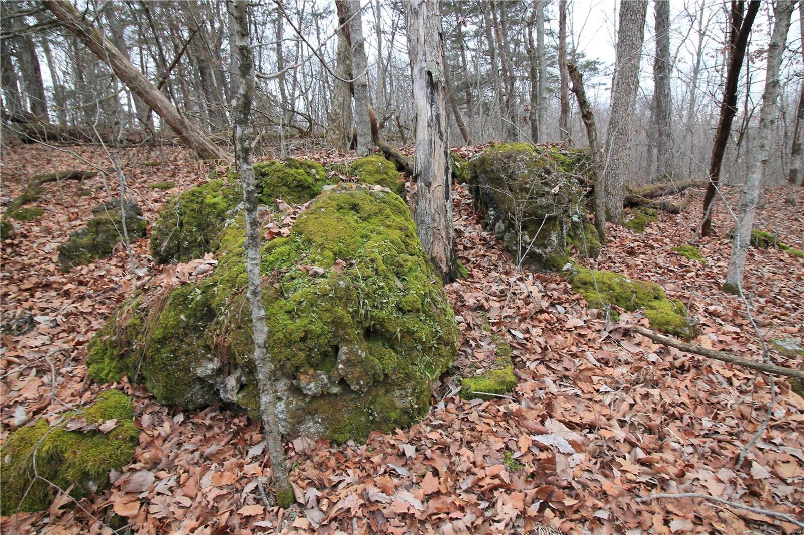 Lake Forest Farms - Farm