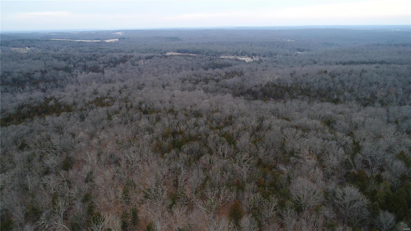 Lake Forest Farms - Farm