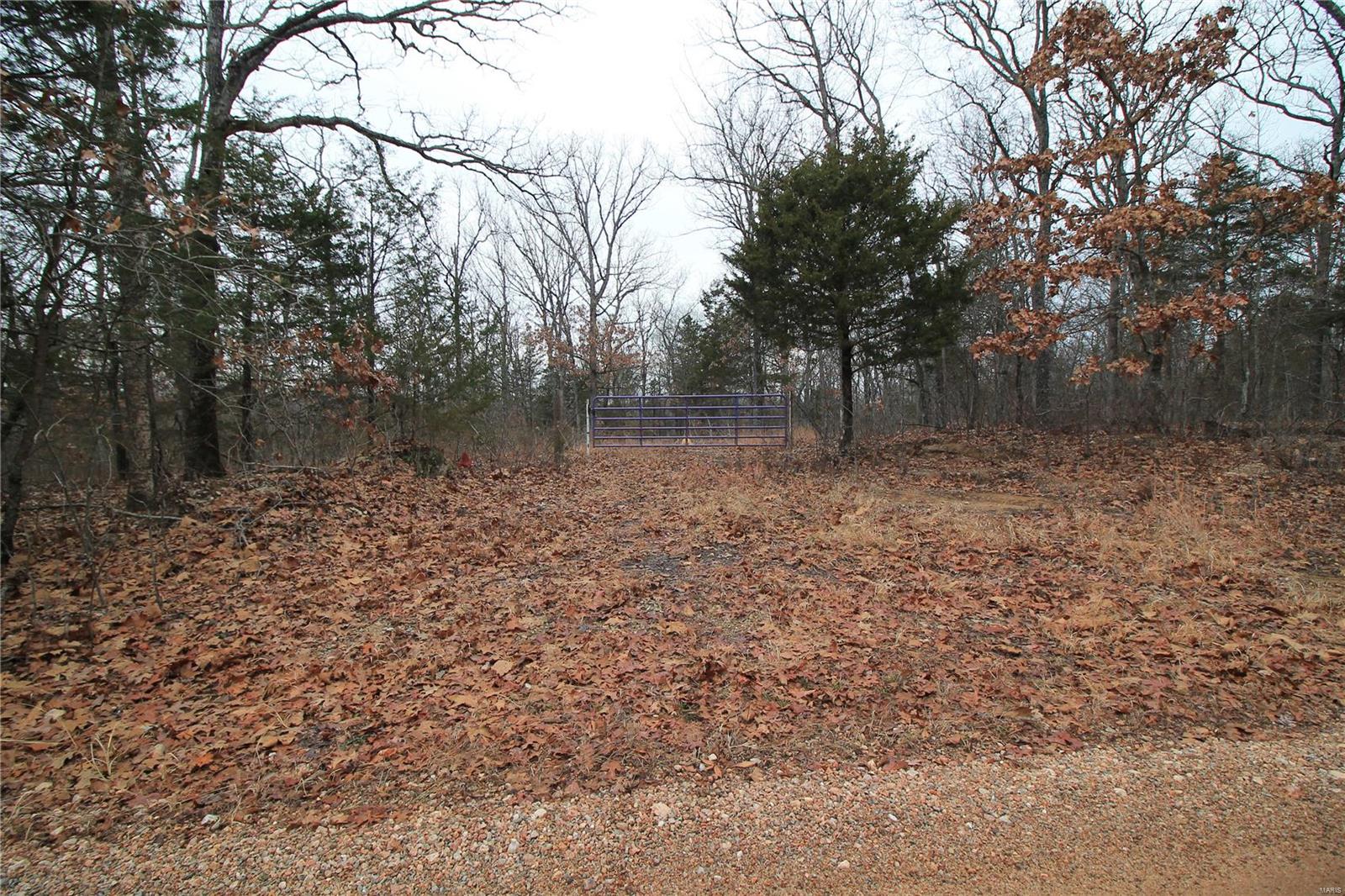 Lake Forest Farms - Farm