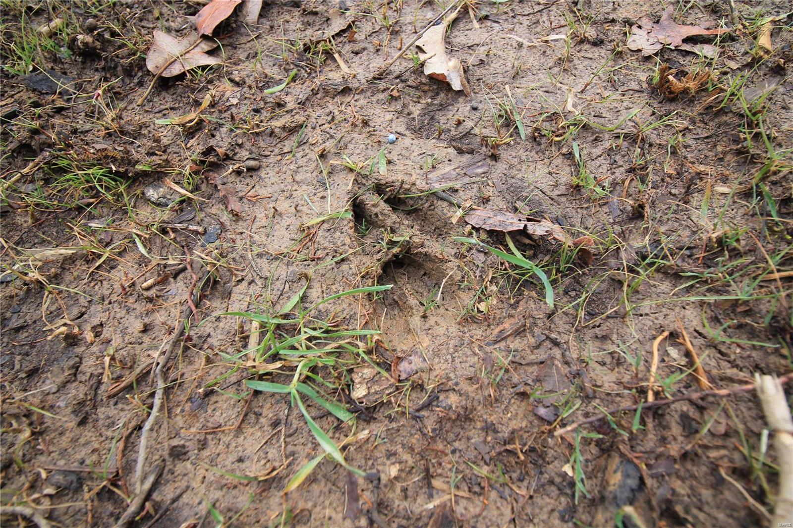 Lake Forest Farms - Farm