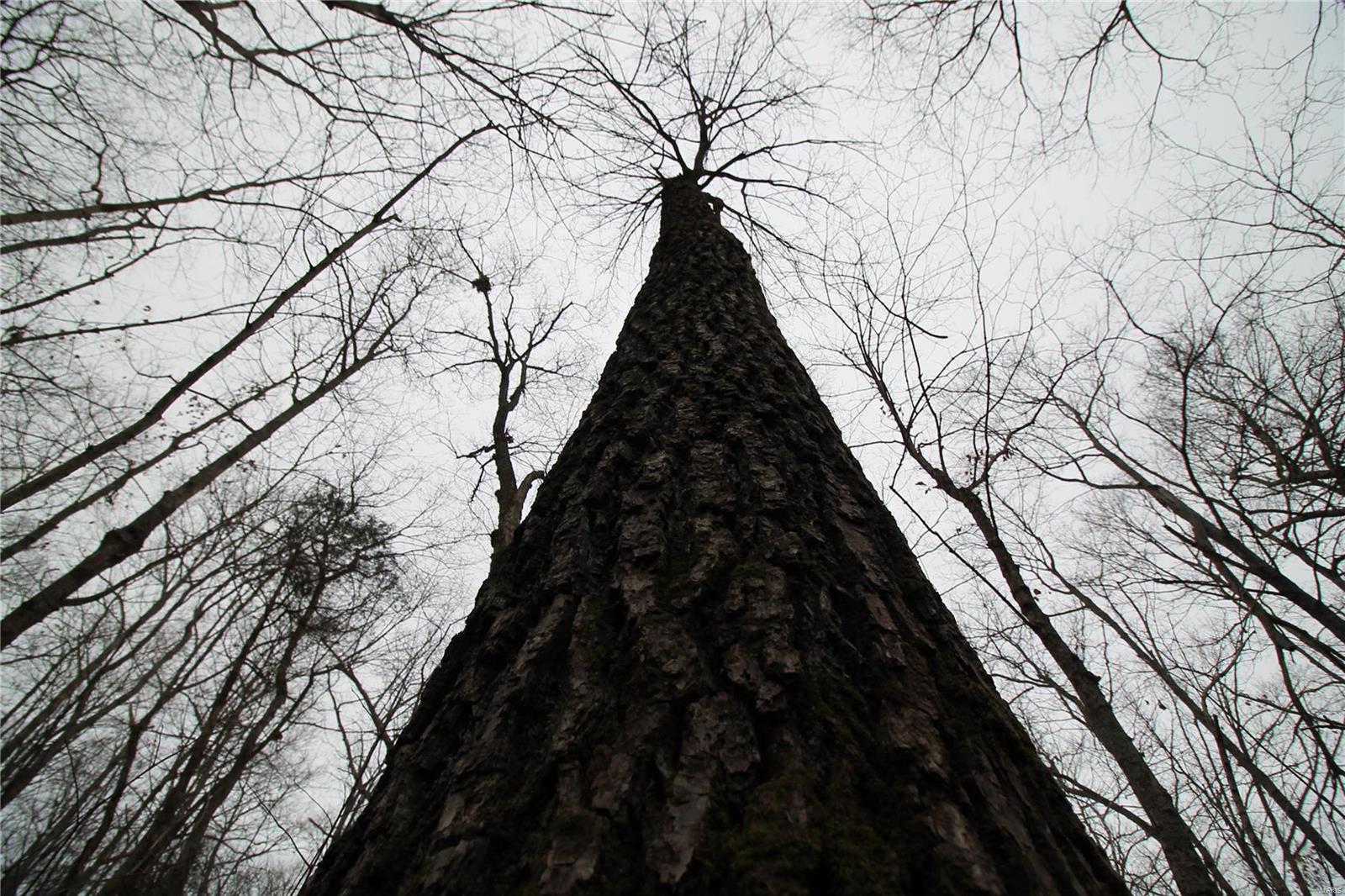 Lake Forest Farms - Farm