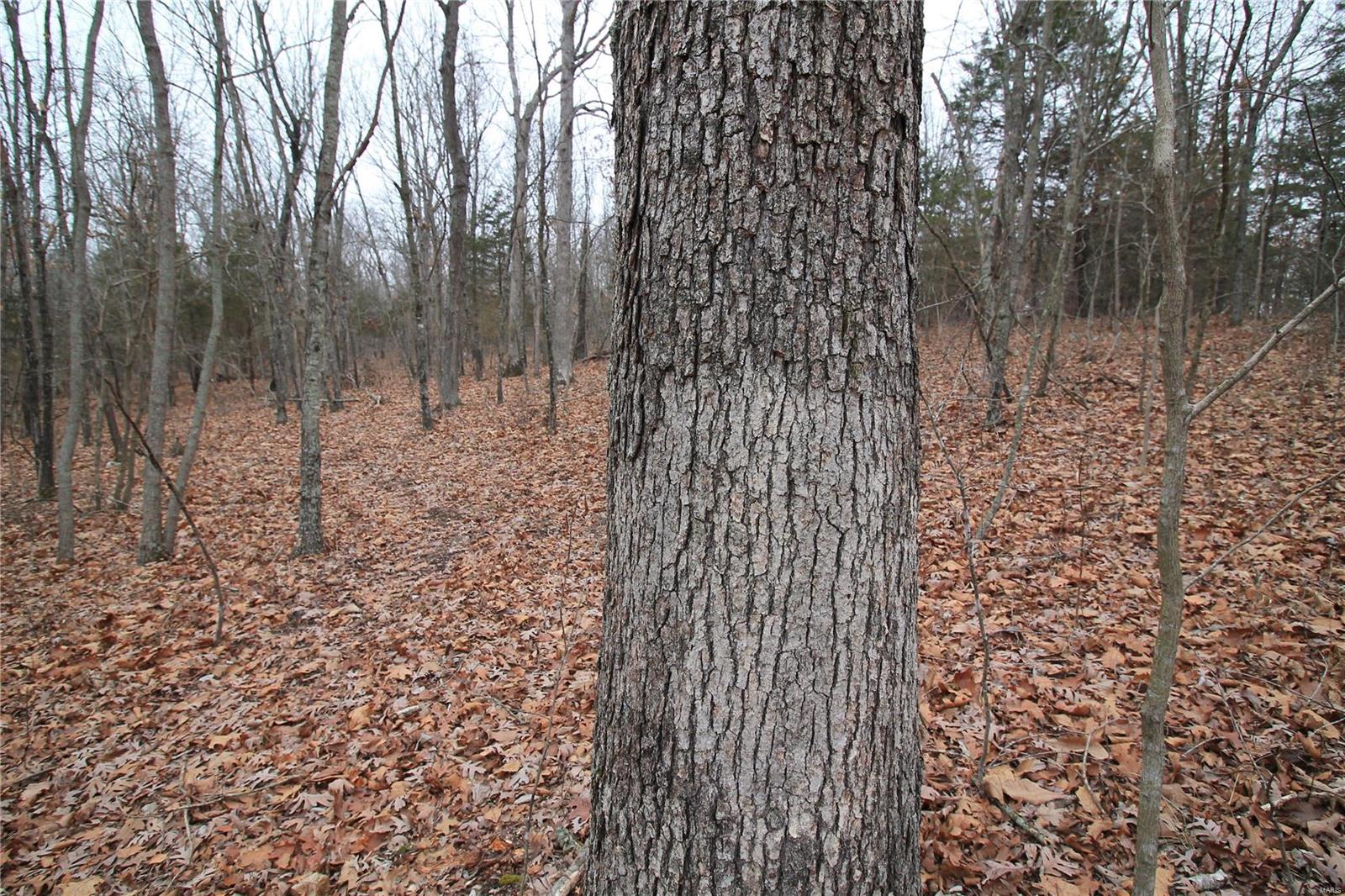 Lake Forest Farms - Farm