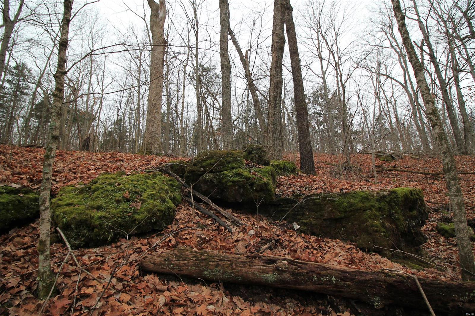 Lake Forest Farms - Farm