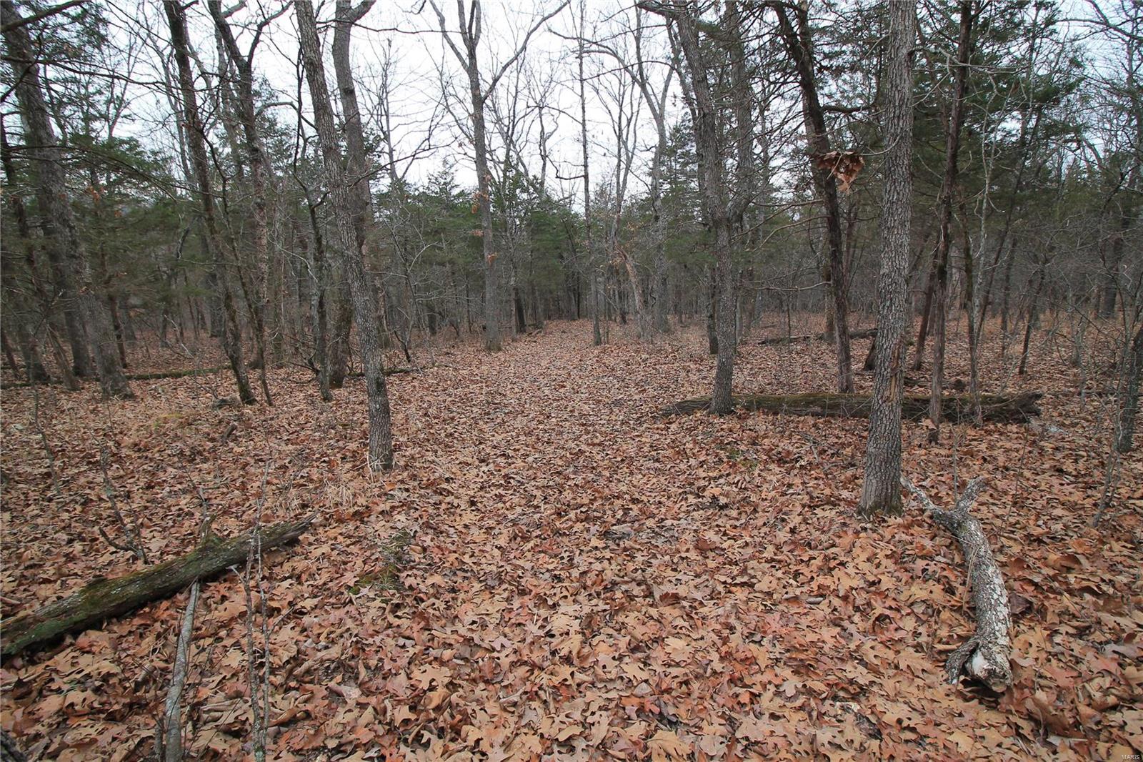 Lake Forest Farms - Farm